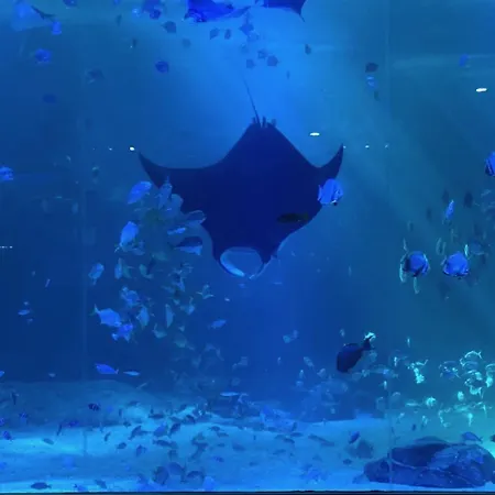 Au Vallon Notre Dame, T2 Entierement Renove * Boulogne-sur-Mer