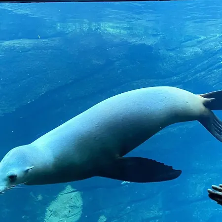 Au Vallon Notre Dame, T2 Entierement Renove Boulogne-sur-Mer