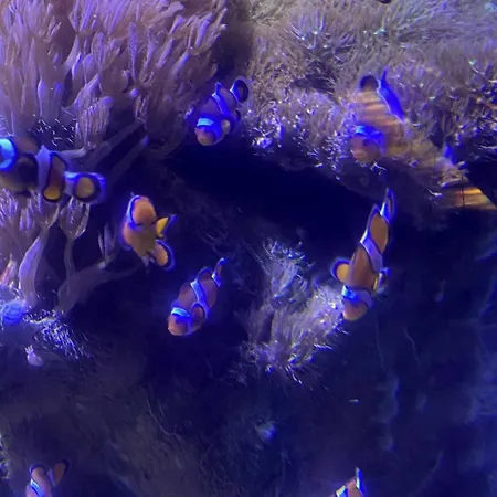 Au Vallon Notre Dame, T2 Entierement Renove Lejlighed