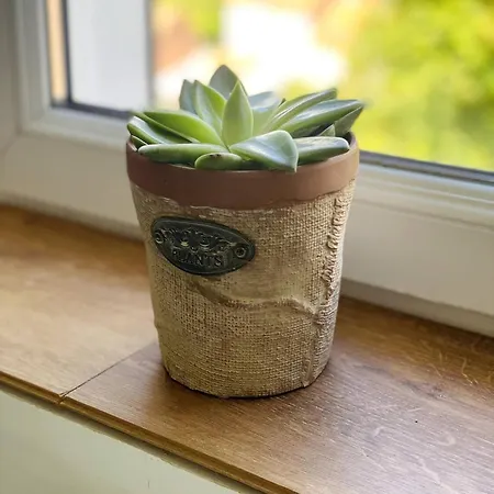 Au Vallon Notre Dame, T2 Entierement Renove Lejlighed Boulogne-sur-Mer